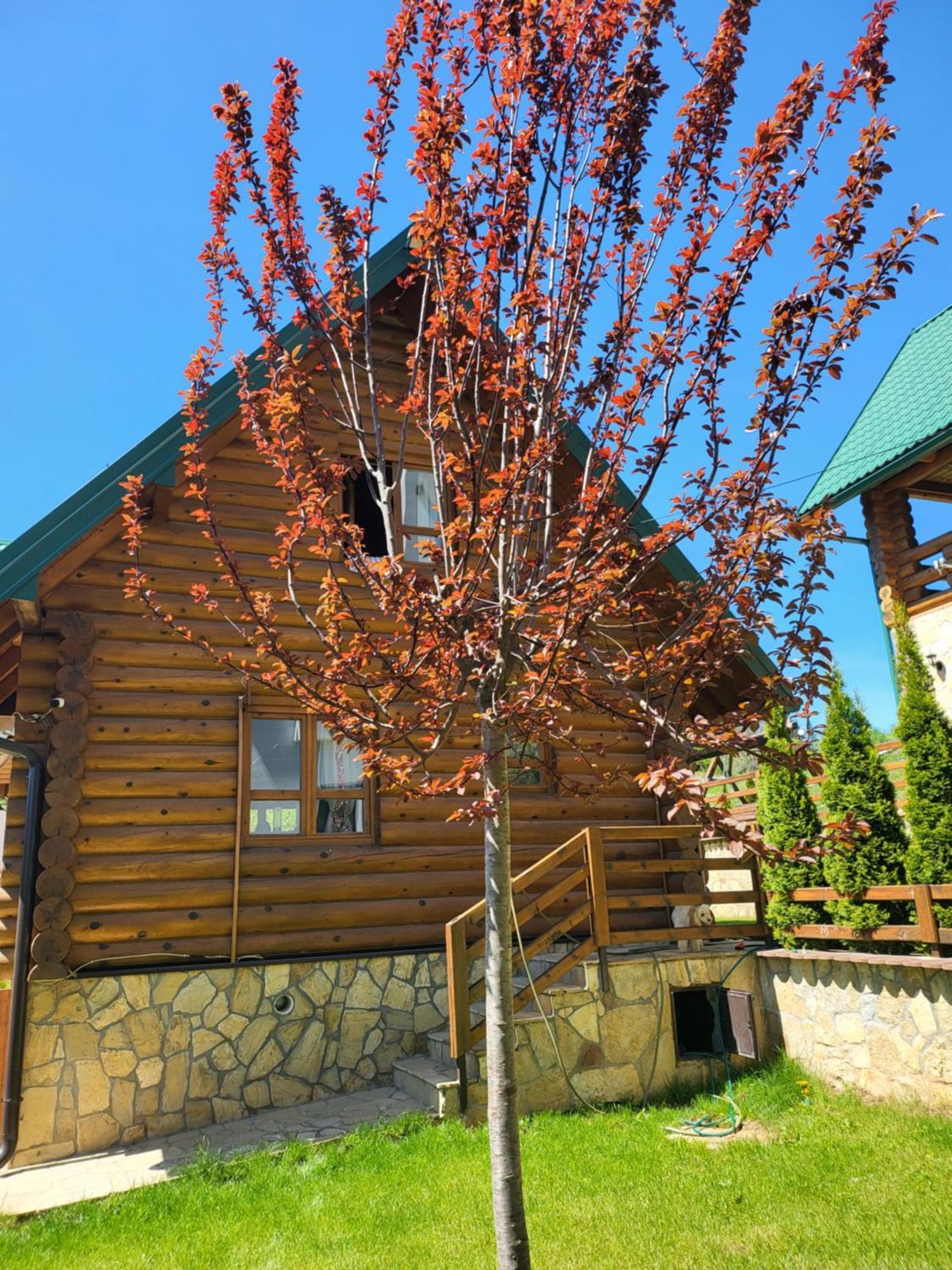 Zlatar Luxury Chalet - Trace Of Nature 2214 Nova Varoš Kültér fotó
